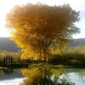 Meet your Posher, Evette